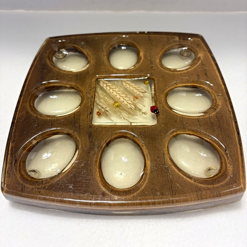 Vintage MCM Lucite Resin Deviled Egg Tray, Acrylic Egg Platter, Retro 1970s